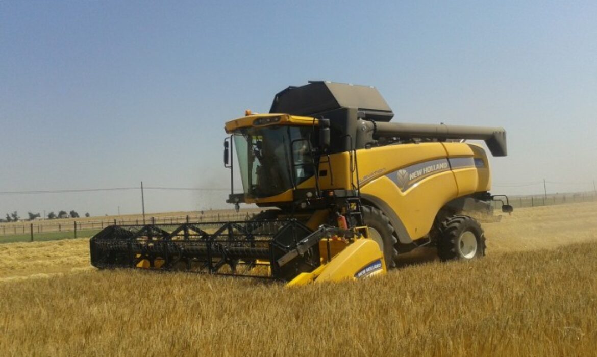 Demostración y test cosechadora New Holland CX6080 Elevation 2015