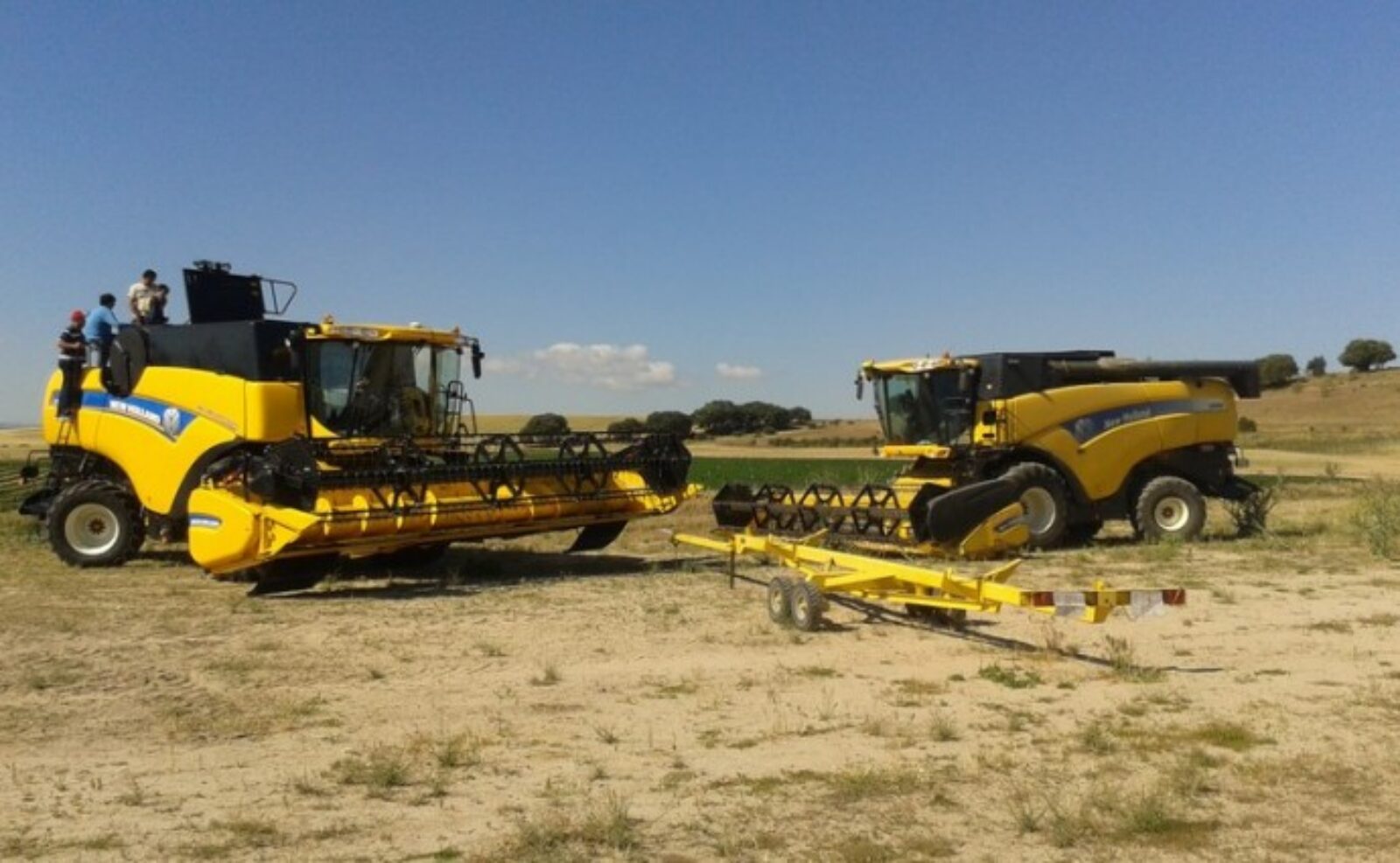 Demostración y test cosechadora New Holland CX8070 Elevation 2014.